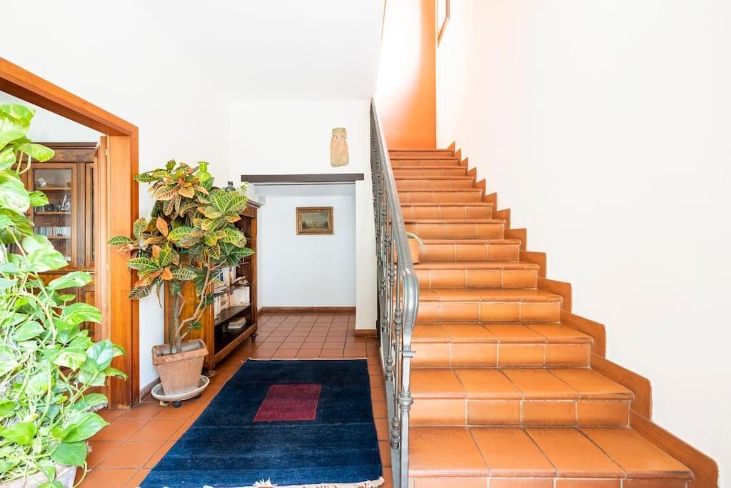 Готель La Casa Di Marina Феррара Екстер'єр фото